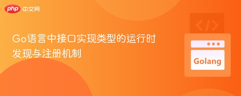 Go接口运行时注册机制详解