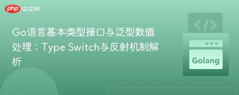 Go语言基本类型接口与泛型数值处理:Type Switch与反射机制解析