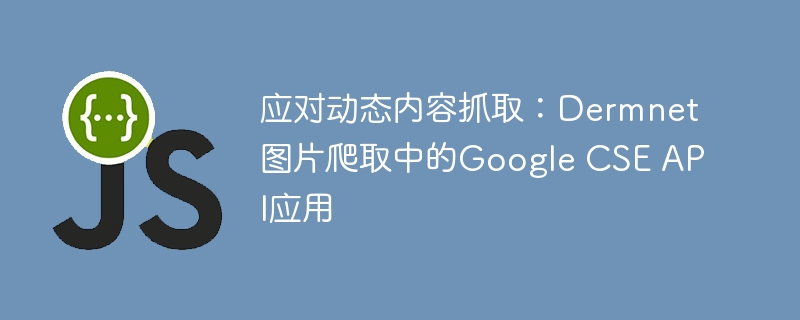 应对动态内容抓取:Dermnet图片爬取中的Google CSE API应用
