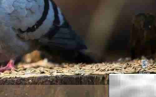 联想电脑隐藏Lenovo解决方案中心