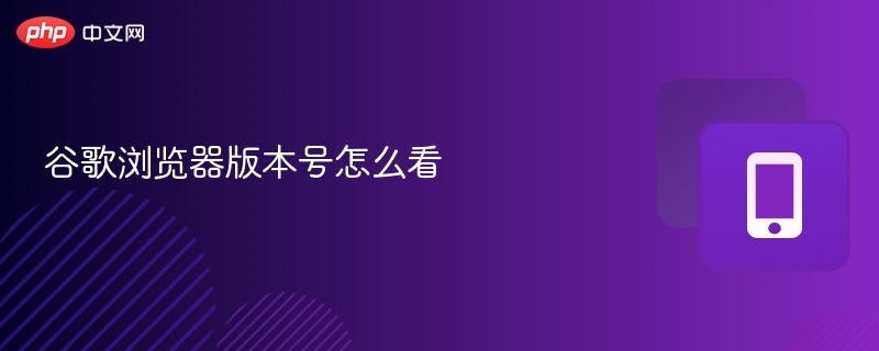 如何查看Chrome浏览器版本号