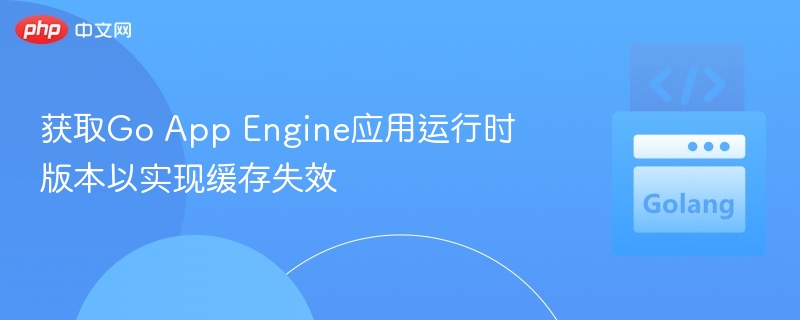 获取Go App Engine应用运行时版本以实现缓存失效