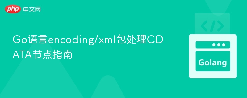 Go语言encoding/xml包处理CDATA节点指南
