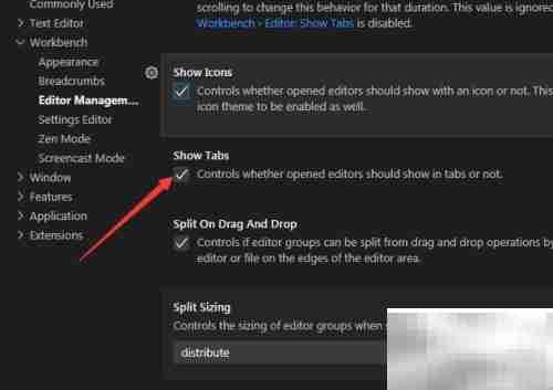 VS Code关闭标签页显示