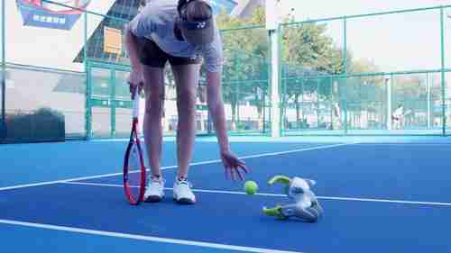 Loona宠物机器人“萌翻”2025中网球场