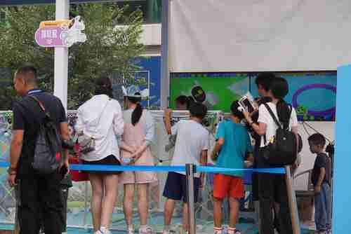 Loona宠物机器人“萌翻”2025中网球场