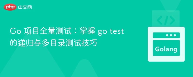 Go 项目全量测试:掌握 go test 的递归与多目录测试技巧