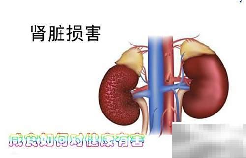 咸食过量危害健康？真相揭秘