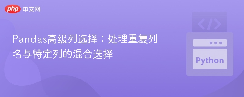 Pandas重复列处理与选列技巧