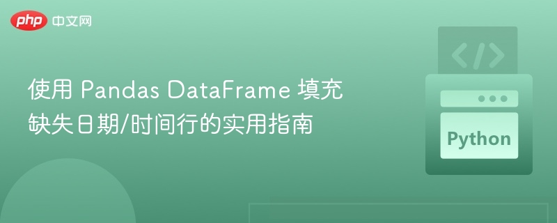 使用 Pandas DataFrame 填充缺失日期/时间行的实用指南