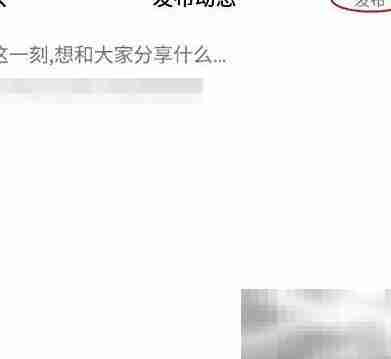 KIGO动态发布指南