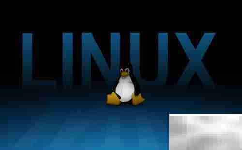 五大电脑操作系统盘点