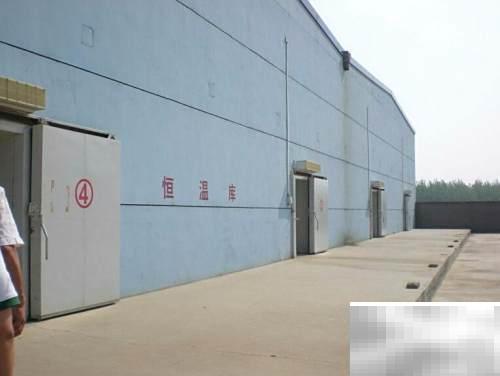 冷库选购指南：5步轻松搞定