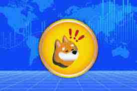 bonk币2025年能涨到什么价位