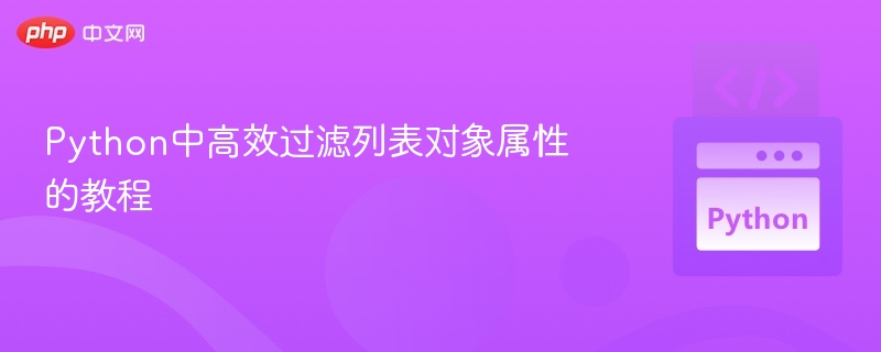 Python中高效过滤列表对象属性的教程