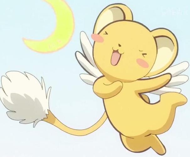 小可搜搜关键词订阅与自动追踪教程