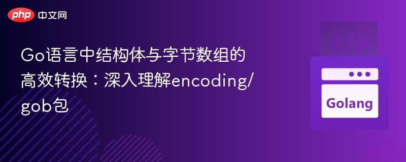 Go语言中结构体与字节数组的高效转换：深入理解encoding/gob包
