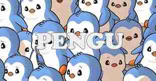 pengu币是否能起飞
