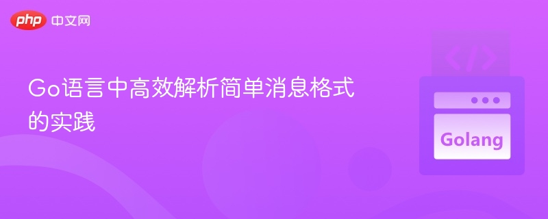 Go语言高效解析消息格式技巧