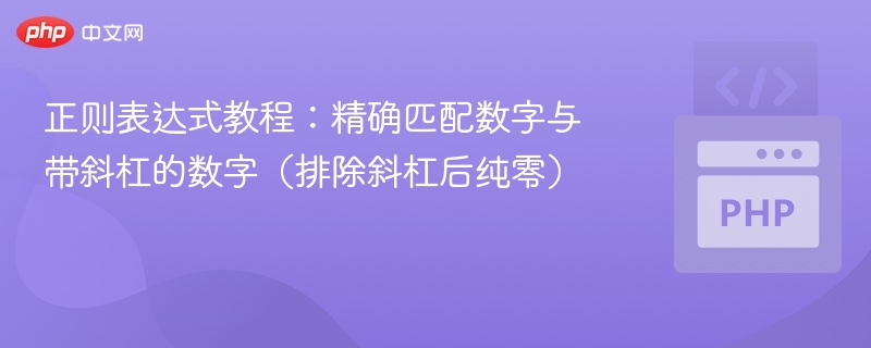 数字与斜杠数字匹配技巧详解