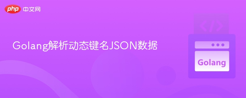Golang动态键名JSON解析方法