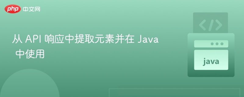 Java提取API元素及调用方法详解