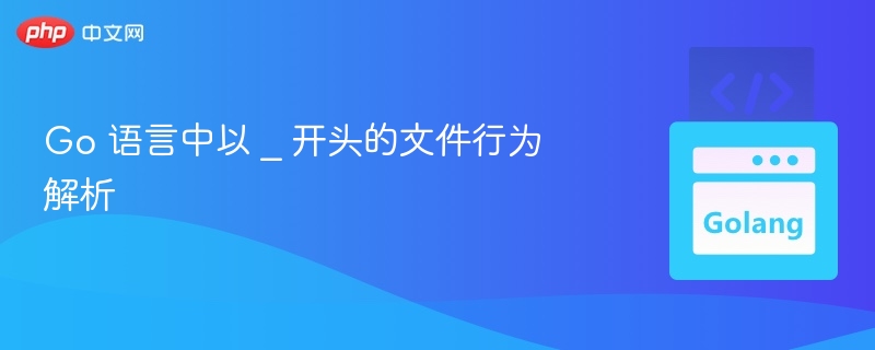 Go 语言中以 _ 开头的文件行为解析