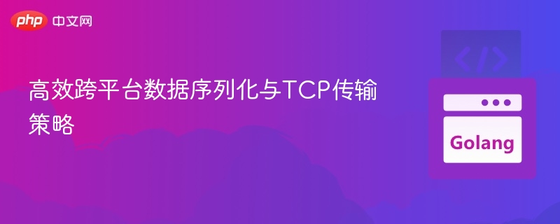 跨平台数据序列化与TCP优化技巧