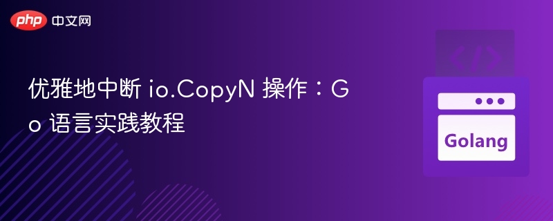 优雅地中断 io.CopyN 操作：Go 语言实践教程