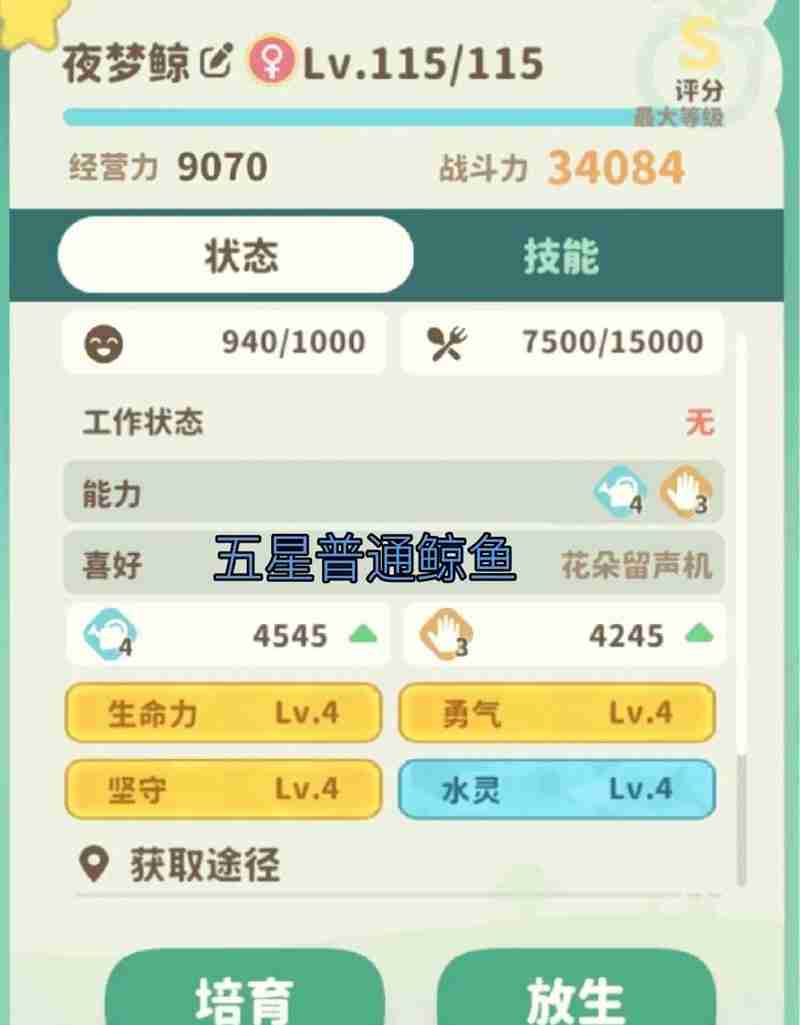 《米姆米姆哈》小火马攻略