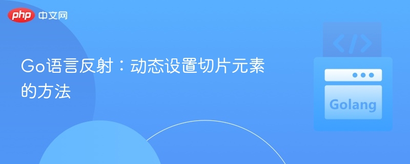 Go语言反射：动态设置切片元素的方法
