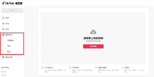 怎样进入TikTok网址