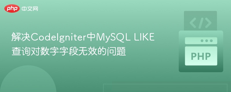 CodeIgniterMySQLLIKE查询数字无效解决方法