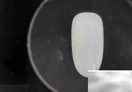 金线毛格子美甲教程