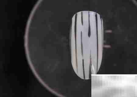 金线毛格子美甲教程