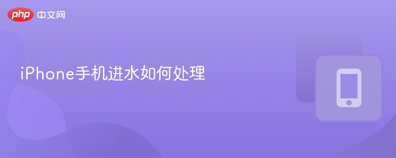 iPhone手机进水如何处理