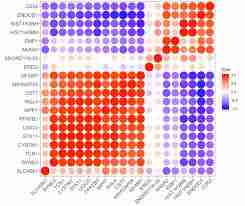 Claude与DeepSeek哪个更具相关性