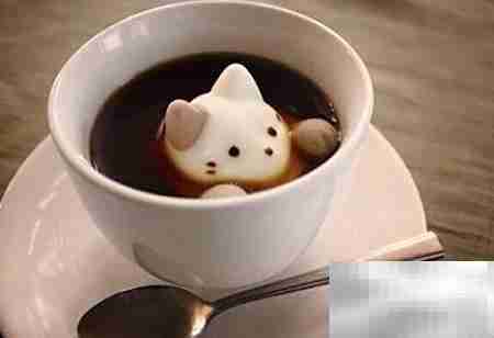 猫咖开店全攻略