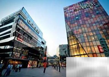 开猫咖必备的完整指南