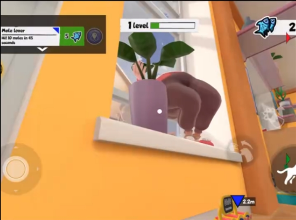 《我是猫》奶奶会躲藏的奇葩位置