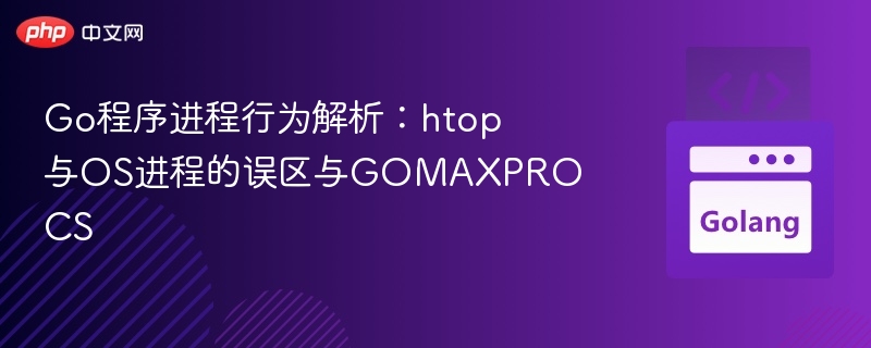 Go程序进程行为解析：htop与OS进程的误区与GOMAXPROCS