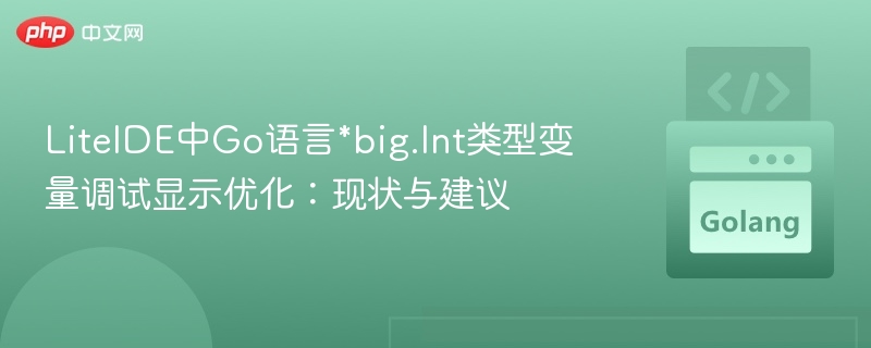 LiteIDE中Go语言*big.Int类型变量调试显示优化:现状与建议
