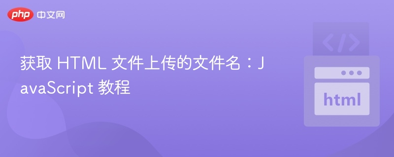 获取 HTML 文件上传的文件名：JavaScript 教程