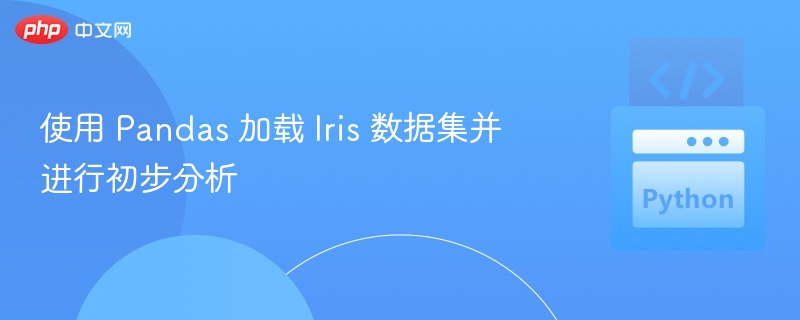 Pandas加载与分析Iris数据集教程