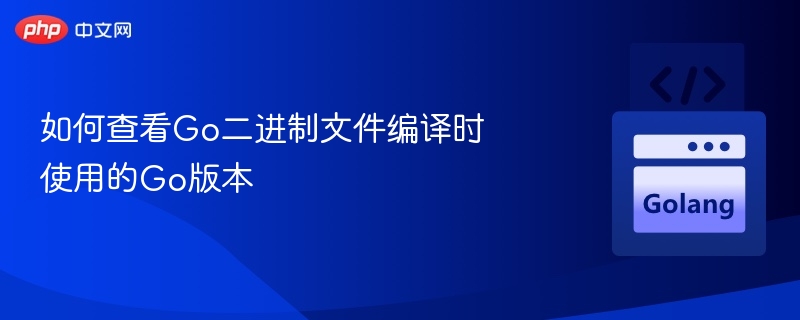 查看Go二进制文件版本的实用方法