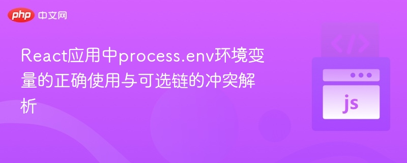 React应用中process.env环境变量的正确使用与可选链的冲突解析
