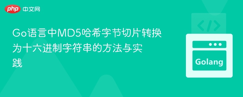Go语言中MD5哈希字节切片转换为十六进制字符串的方法与实践
