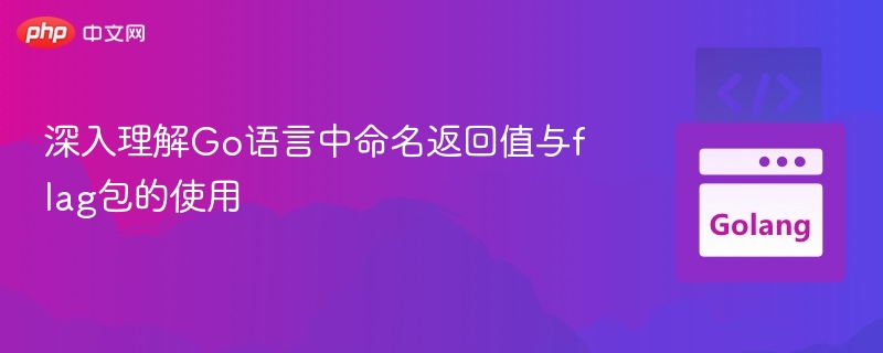 深入理解Go语言中命名返回值与flag包的使用