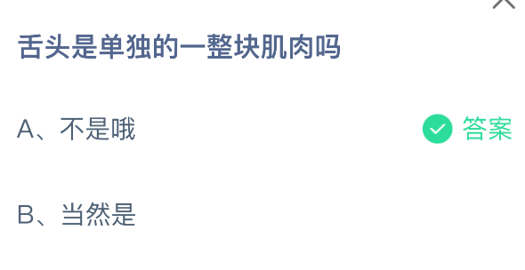 舌头是单独一块肌肉吗？真相揭秘