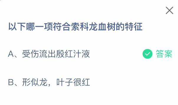 索科龙血树特征及辨识方法